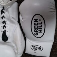 Перчат бокс Green Hill 10 oz кожа шнур